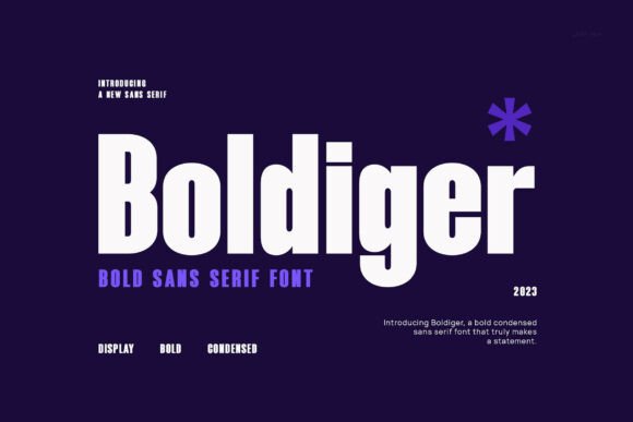 Boldiger: A Designer’s Honest Review