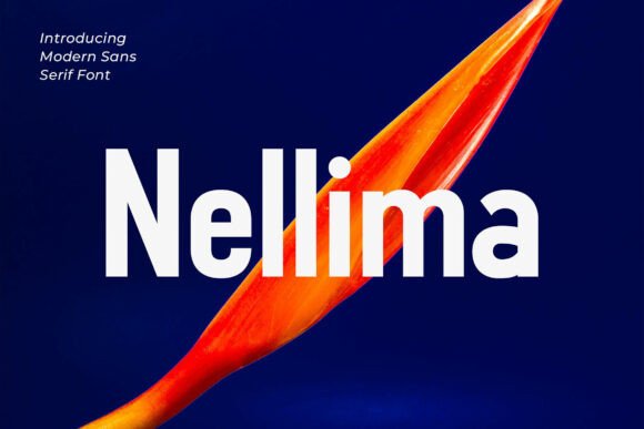 Nellima: A Bold Sans Serif Font for Editorial Impact